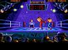 The Kick Boxing - PC-Engine CD Rom