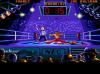 The Kick Boxing - PC-Engine CD Rom