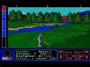 Jack Nicklaus' World Golf Tour - PC-Engine CD Rom