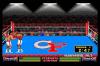 Champions Forever Boxing - PC-Engine Hu-Card