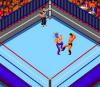 Fire Pro Wrestling : Combination Tag - PC-Engine Hu-Card