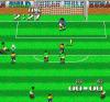 Formation Soccer : Human Cup '90 - PC-Engine Hu-Card