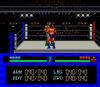 Maniac Pro-Wrestling : Ashita e no Tatakai - PC-Engine Hu-Card