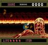 Splatterhouse - PC-Engine Hu-Card