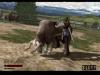 Red Dead Revolver - PS2