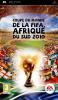 Coupe du monde de la FIFA : Afrique du Sud 2010 - PSP