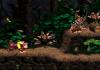 Donkey Kong Country 2 : Diddy's Kong Quest - SNES