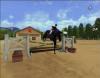 Horse Life : Amis pour la vie - Wii