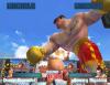 Ready 2 Rumble Revolution - Wii