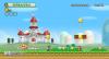 New Super Mario Bros. Wii - Wii