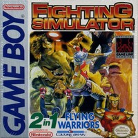 Fighting Simulator : 2-in-1 Flying Warriors