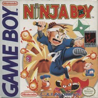 Ninja Boy