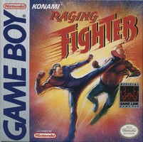 Raging Fighter