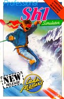 Professional Ski Simulator