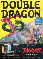 Double Dragon V : The Shadow Falls