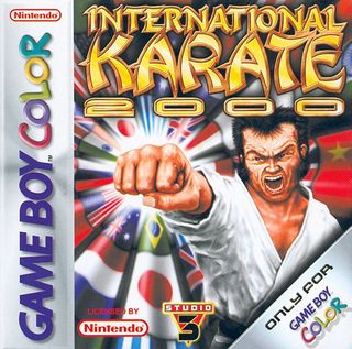 International Karate 2000